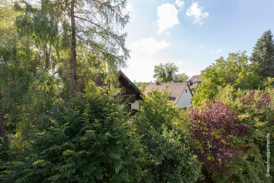 Eigentumswohnung in charmanter Wohnanlage - Blick vom Balkon