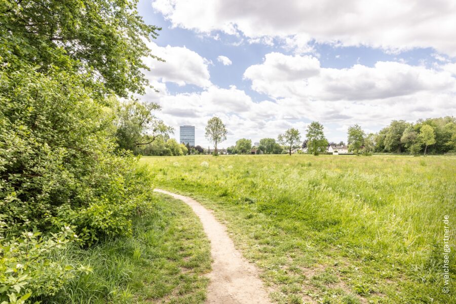 Direkt am Park: Charmante, bezugsfreie Eigentumswohnung mit Westbalkon und Blick ins Grüne - Park