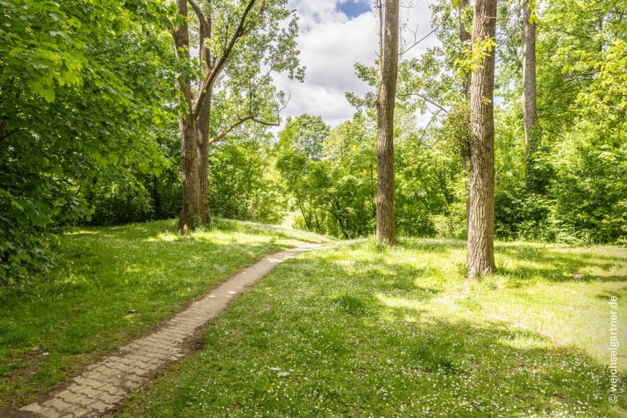 Direkt am Park: Charmante, bezugsfreie Eigentumswohnung mit Westbalkon und Blick ins Grüne - Direkter Zuweg zum Park