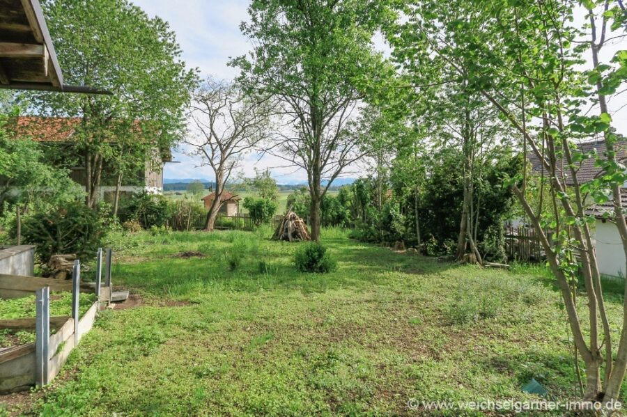Schönes Wohnbaugrundstück - Blick von der Straßenseite in das Grundstück