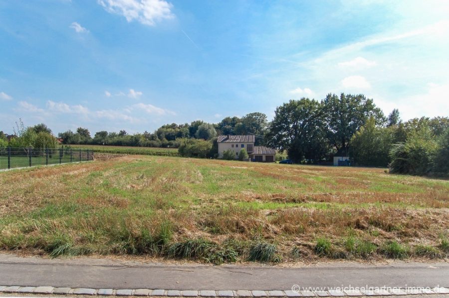 Grundstück in ruhiger Südlage - Blick zum Grundstück mit angrenzender Wiese