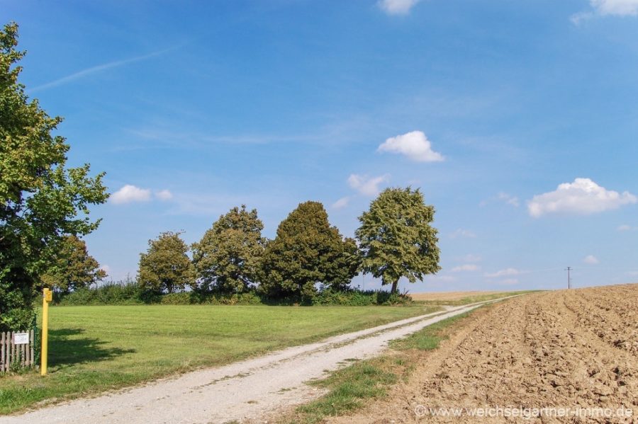 Grundstück in ruhiger Südlage - Östlich angrenzender Feldweg