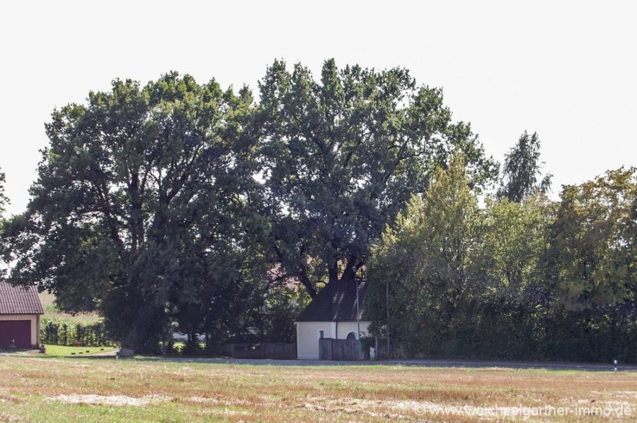 Grundstück in ruhiger Südlage - Blick nach Süden zur Kapelle