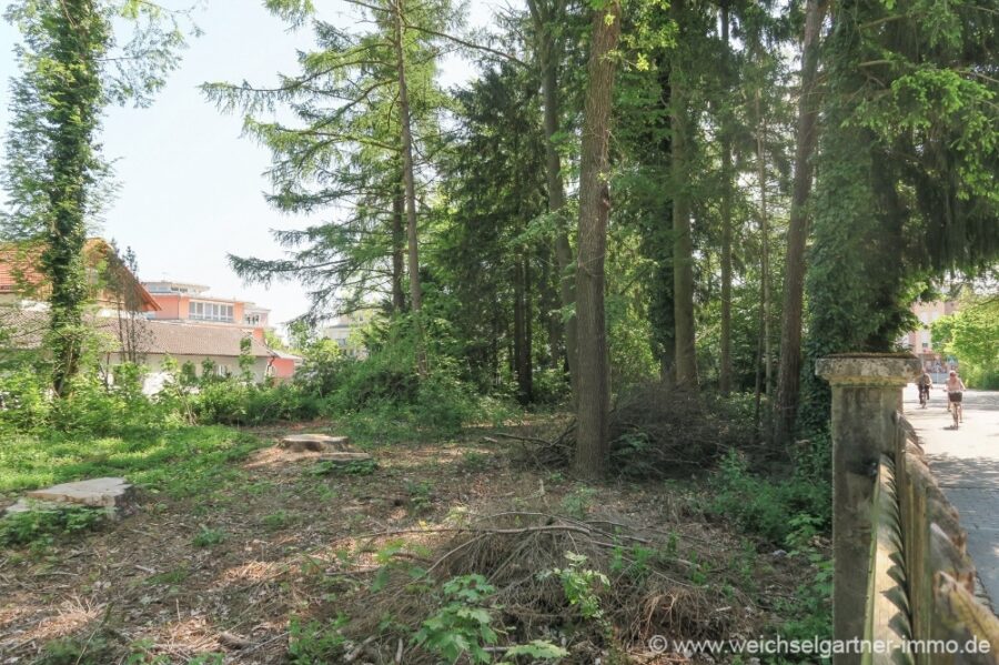 Grundstück für große Wohnanlage - Baumbestand an der Ecke Finkenstraße