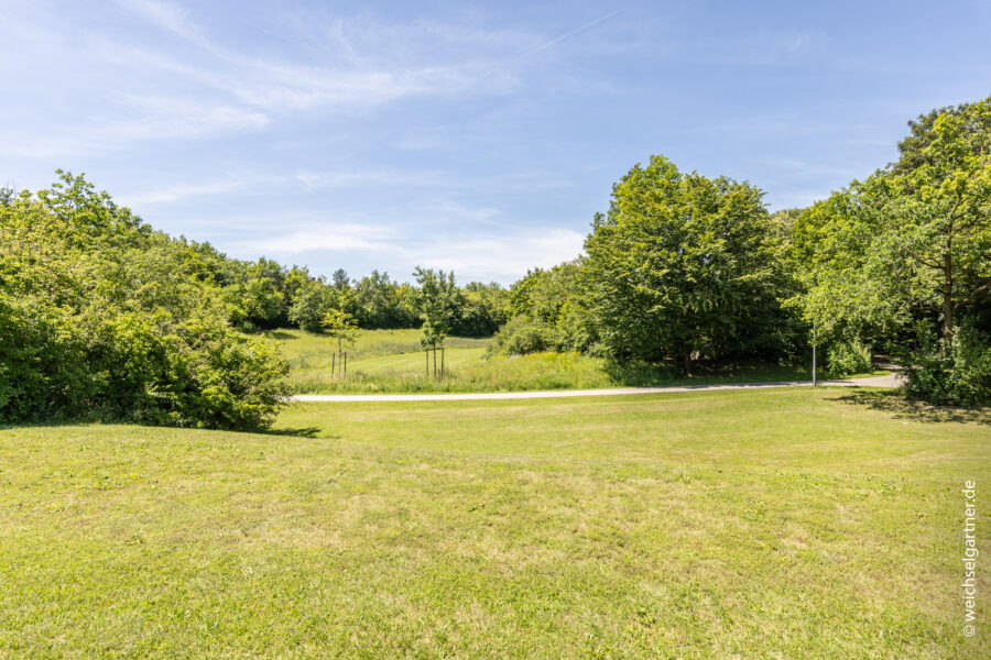 Attraktives Wohnbaugrundstück mit herrlichem West-Garten - Der angrenzende Zamilapark