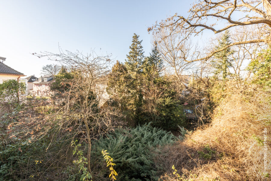 Baugrundstück mit Altbestand in gewachsenem Wohnumfeld von Kleinhadern - Blick nach Westen