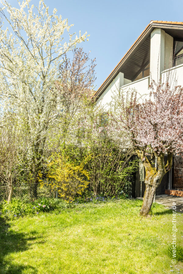 Viel Platz für die Familie: Reihenhaus mit schönem Südgarten in ruhiger Wohnlage - Blick aus dem Nachbargarten
