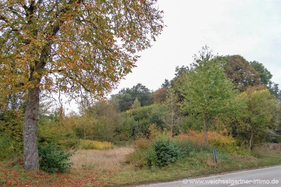 Grundstück für 6 DHH - Gelegenheit für Immobilienprofis - Bild1