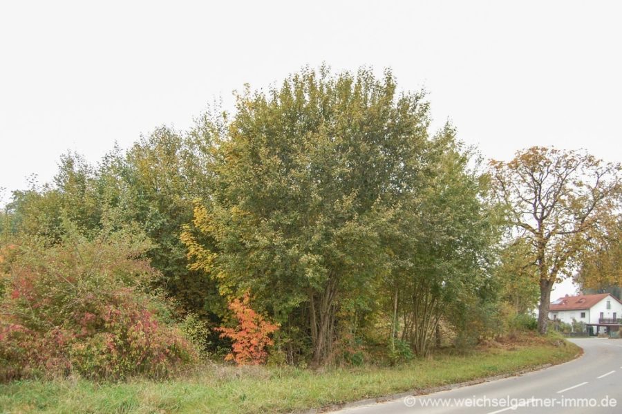 Grundstück für 6 DHH - Gelegenheit für Immobilienprofis - Bild4